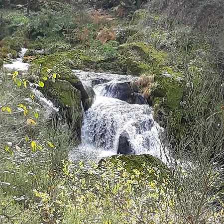 Сasa de vacaciones O Xardín Da Fraga *