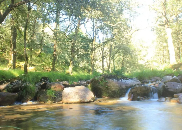 O Xardín Da Fraga San Salvador