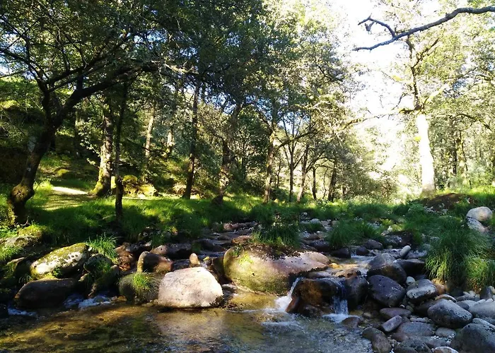 O Xardín Da Fraga San Salvador